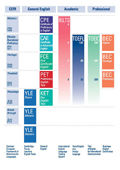 exam-chart-male